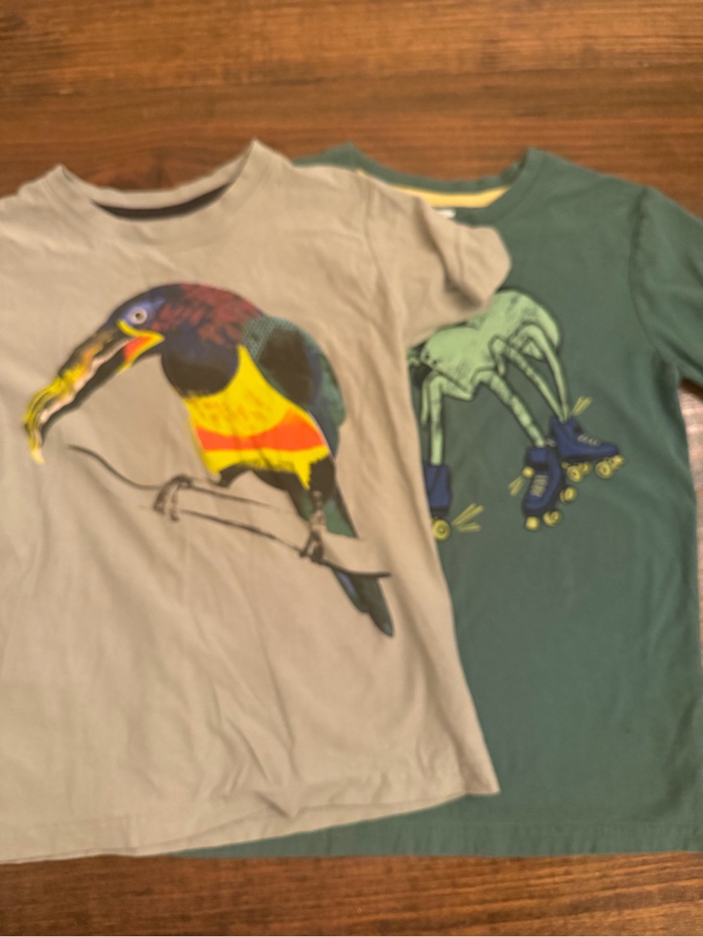 Tea Collection 2 Tees with Colorful Toucan Graphic spider slaying